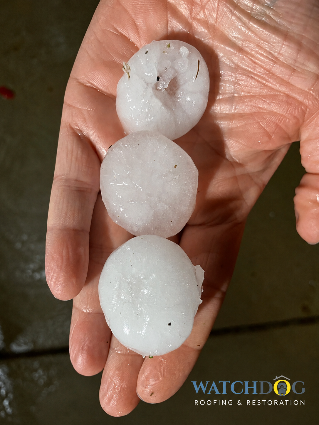 Photo of hail on the ground (golf-ball or quarter-sized hail), or an aerial shot of damaged roof shingles. Alt text: "Recent hail damage on Colorado homes across the Denver metro and Front Range"