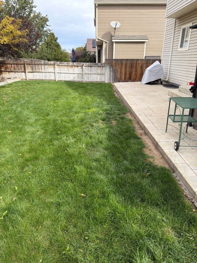 Yard checked and cleaned the day after a Commerce City roof replacement