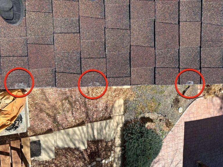 Three hail hits circled along a shingle course on a Northglenn roof, March 2026